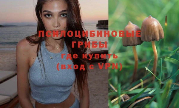 наркотики Алексеевка