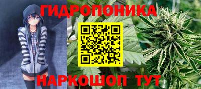 дурь Будённовск
