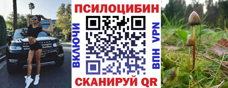 Галлюциногенные грибы мухоморы Лабинск