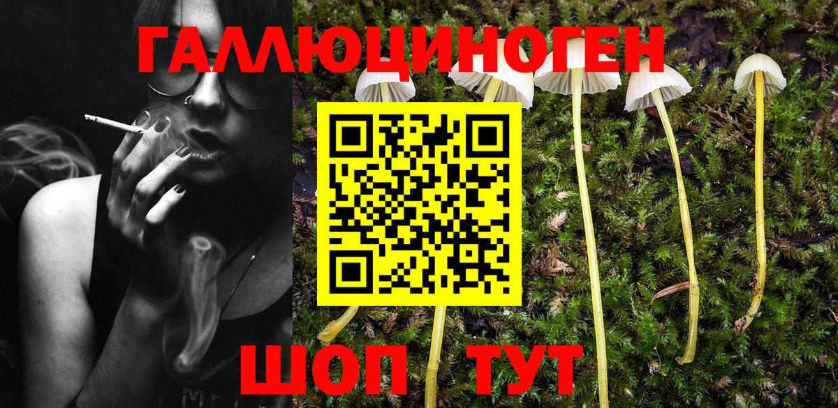 Псилоцибиновые грибы прущие грибы  Вход с VPN  Лабинск 